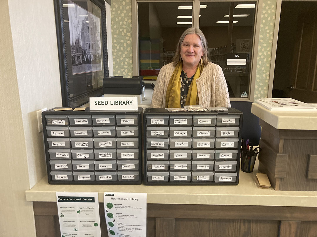 Jane DeGroff stands behind the Fairview Library's seed library.